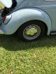 Rust Classic 1967 Vw Zenith Blue Beetle - Classic photo 20