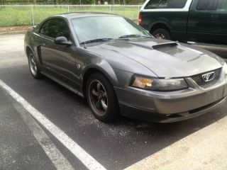 2004 Ford Mustang Gt Coupe 2 - Door 4.  6l photo