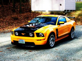 2007 Mustang Gt,  Grabber Orange,  Custom Air Brushing Under Hood And On Hood, photo