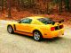 2007 Mustang Gt,  Grabber Orange,  Custom Air Brushing Under Hood And On Hood, Mustang photo 1