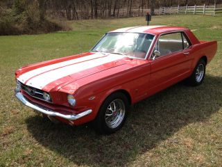 1965 Mustang Gt photo