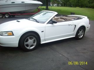 2000 Ford Mustang Gt Convertible photo