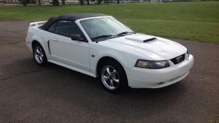 2003 Ford Mustang Gt Premium Convertible photo
