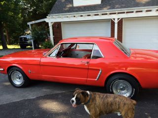 1965 Ford Mustang Base 3.  3l photo
