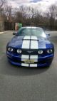 2005 Ford Mustang Gt Garage Kept Blue W / White Racing Stripe 4.  6l V - 8 305 H Mustang photo 1