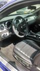 2005 Ford Mustang Gt Garage Kept Blue W / White Racing Stripe 4.  6l V - 8 305 H Mustang photo 3