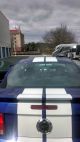 2005 Ford Mustang Gt Garage Kept Blue W / White Racing Stripe 4.  6l V - 8 305 H Mustang photo 4