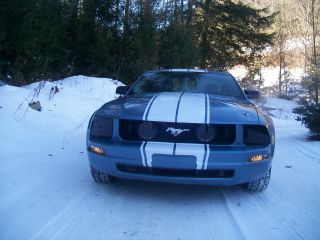 2005 Ford Mustang Base Coupe 2 - Door 4.  0l photo