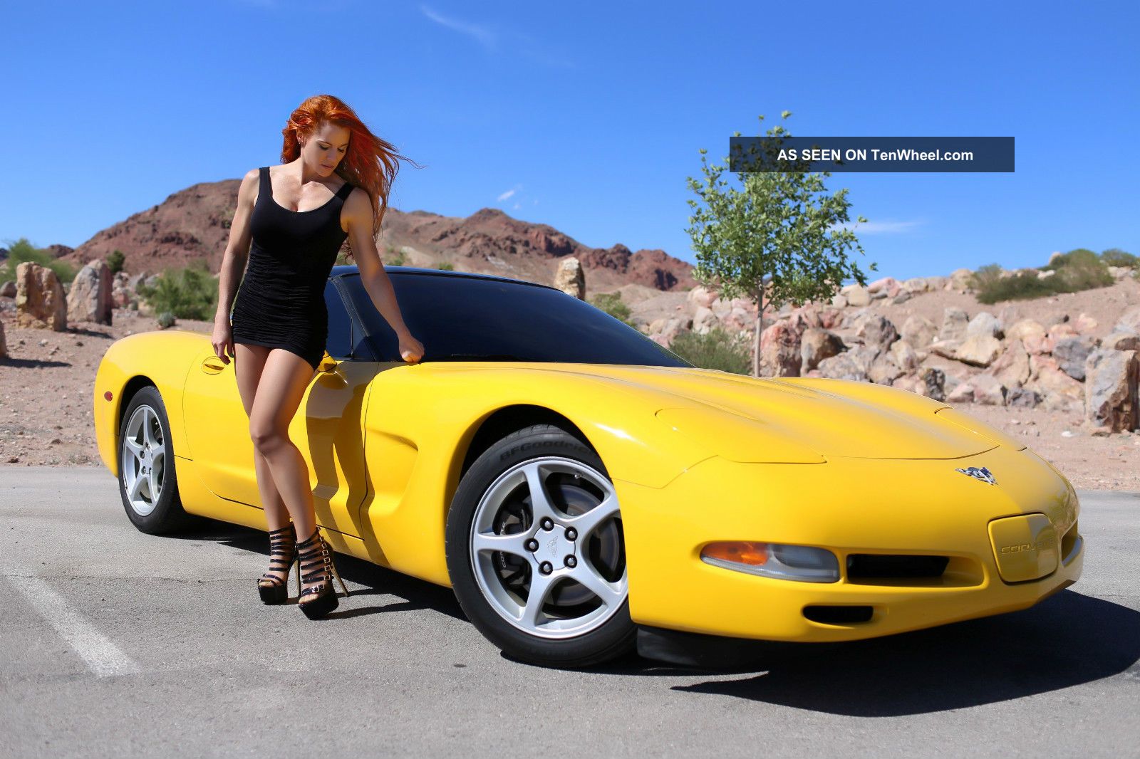 Spectacular 2003 Chevrolet Corvette 50th 6 Speed P E G