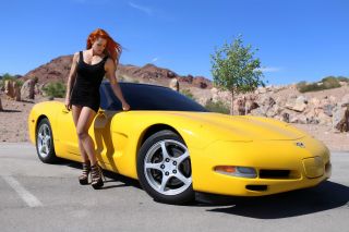 Spectacular 2003 Chevrolet Corvette 50th 6 - Speed P.  E.  G.  1sb Glass & Solid Roof photo
