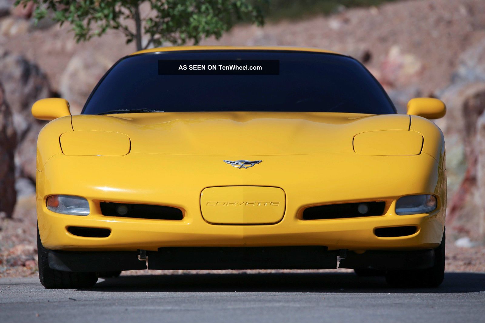 Spectacular 2003 Chevrolet Corvette 50th 6 Speed P E G