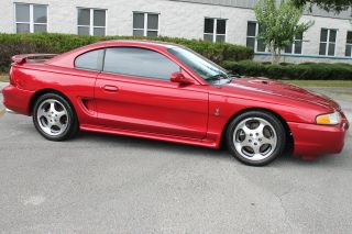 1996 Ford Mustang Svt Cobra - Red / Tan - Garaged - Fla - Kept - Lowest Mileage In The Usa photo