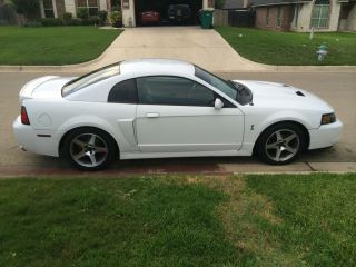 2003 Ford Mustang Cobra Oxford White Lots Of Mods photo