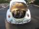 Classic Vw Beetle Bug Bahama Blue Coupe 1966 Classic Beetle - Classic photo 3