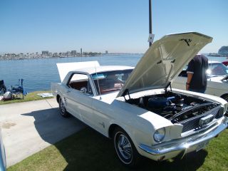 1966 Ford Mustang 3.  3l photo