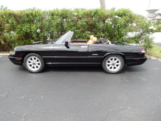 1991 Alfa Romeo Spider Black With Tan And All Accessories Work As They Should. photo