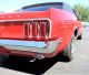 1969 Ford Mustang Hardtop 2 - Door 5.  0l Mustang photo 5