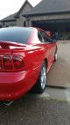 1997 Red Cobra Mustang Mustang photo 3