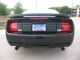 2007 Saleen S281sc,  Ford Mustang,  Saleen,  S 281 Sc,  Mustang,  Charged,  5spd Mustang photo 12