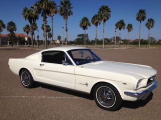 1966 Ford Mustang Fast Back 2+2 photo