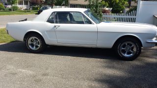 1966 Ford Mustang,  289,  4 Speed photo