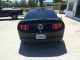 2012 Ford Mustang Gt Coupe 2 - Door 5.  0l Boss 302 Engine Mustang photo 5