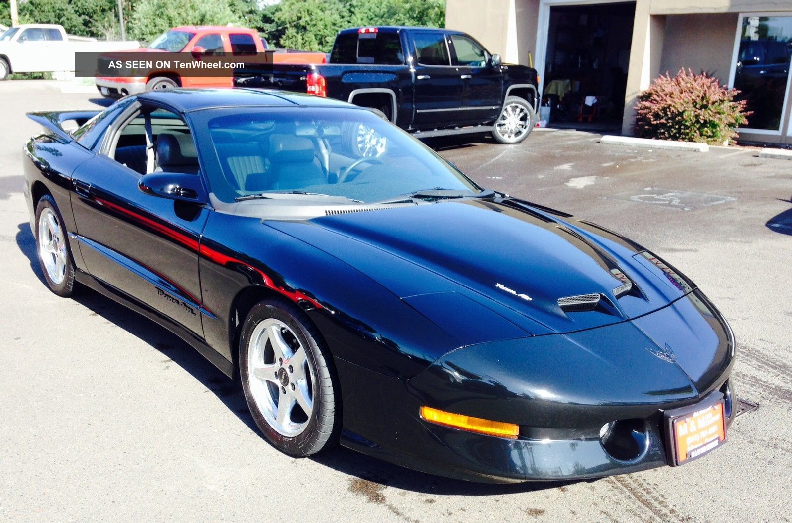 Pristine 1997 Pontiac Trans Am Ws 6 6 Speed