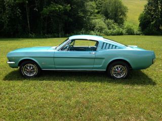 1966 Ford Mustang Fastback 2+2 photo