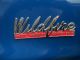 1955 Woodill Wildfire Fiberglass Sports Car Other Makes photo 10