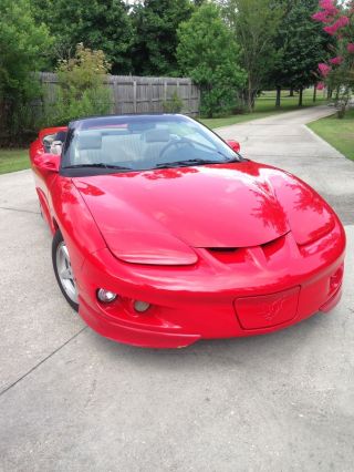 1999 Pontiac Firebird Base Convertible 2 - Door 3.  8l photo