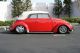 1964 Convertible Volkswagen Beetle / Bug Beetle - Classic photo 3