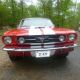 1965 Ford Mustang 289 V8 4.  7l Collectible Show Car Condition All Mustang photo 14