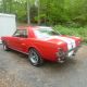 1965 Ford Mustang 289 V8 4.  7l Collectible Show Car Condition All Mustang photo 18