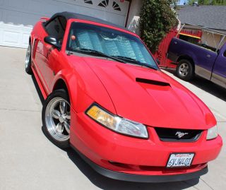 2001 Ford Mustang Gt Convertible Performance Red photo