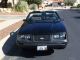 1983 Mustang Glx Convertible 5.  0l 8 Cly,  4 Barrel,  Hurst 4 Speed $16k Rebuild Mustang photo 5