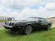 1979 Pontiac Firebird Trans Am Ws6 Firebird photo 1