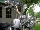 2008 Harley Davidson Flstc Heritage Softail Classic Softail photo 12