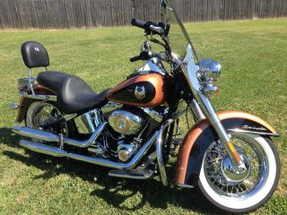 2008 105th Anniversary Harley Davidson Softail Deluxe photo