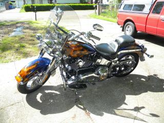 2005 Harley Davidson Softail photo