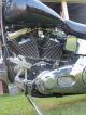 1995 Harley Davidson Fxstc Custom Chopper Softail photo 12