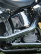 1995 Harley Davidson Fxstc Custom Chopper Softail photo 5
