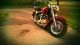 2003 Harley Davidson Fatboy (anniversay Addition) Softail photo 5