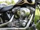 2000 Harley Davidson Fxst Skulls,  Chrome Softail photo 3
