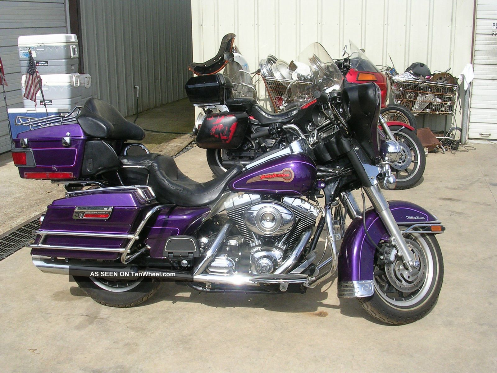 concord black and purple