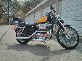 2001 Harley Davidson 1200 Sportster photo