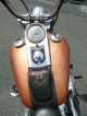 2008 Harley - Davidson 105th Anniversary Fxstc Softail Custom Softail photo 10