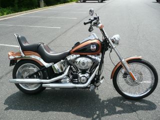 2008 Harley - Davidson 105th Anniversary Fxstc Softail Custom photo