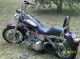 2009 Fxdi Glide Many Upgrades Dyna photo 9