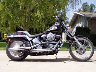 1996 Harley Davidson Softail Custom - Fxstc photo