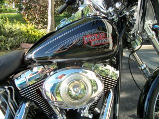 2009 Harley Davidson Fxstc Softail Custom Factory Custom Paint,  Extras photo